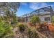 Landscaped backyard showcasing lush greenery and pool enclosure at 12366 Marsh Pointe Rd, Sarasota, FL 34238