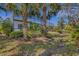 Landscaped backyard with tropical plants and a screened pool area at 12366 Marsh Pointe Rd, Sarasota, FL 34238