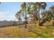 Spacious backyard with privacy fence and palm trees at 1947 W Leewynn Dr, Sarasota, FL 34240