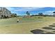 Picturesque golf course with palm trees and players at 223 Heritage Isles Way, Bradenton, FL 34212