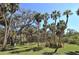 Expansive grounds with mature palm and oak trees at 2723 Orchid Oaks Dr # 104, Sarasota, FL 34239