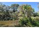 Lush landscape with mature trees and a serene waterway at 2723 Orchid Oaks Dr # 104, Sarasota, FL 34239