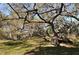 Majestic live oak tree draped in Spanish moss at 2723 Orchid Oaks Dr # 104, Sarasota, FL 34239