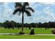 Golf driving range with palm trees at 282 Shell Midden Ct, Osprey, FL 34229