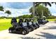 Row of black golf carts ready for use at 282 Shell Midden Ct, Osprey, FL 34229