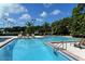 Refreshing resort-style pool with lounge chairs and lush landscaping at 282 Shell Midden Ct, Osprey, FL 34229