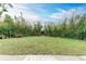 Private backyard with grassy area and bamboo trees at 3601 Yardley N Ave, St Petersburg, FL 33713