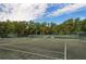 Well-lit tennis courts, ready for play at 5269 Myrtle Wood Rd # 35, Sarasota, FL 34235