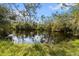 Peaceful pond view adjacent to the property at 5574 Sweetwater Oak, Sarasota, FL 34232