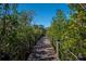 Wooden boardwalk with rope railings, surrounded by dense vegetation at 579 Fore Dr, Bradenton, FL 34208