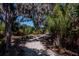 Paved nature trail winding through a shaded landscape with palm trees at 579 Fore Dr, Bradenton, FL 34208