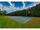 Outdoor basketball court surrounded by lush greenery, perfect for recreational activities at 854 Rosemary Cir, Bradenton, FL 34212