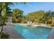 Inviting swimming pool surrounded by lush tropical landscaping at 117 S Polk Dr, Sarasota, FL 34236