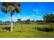 Picturesque rural property with a pond, lush pastures, palm trees, and cattle at 1226 Coral Ridge Dr, Punta Gorda, FL 33950
