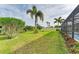 Landscaped backyard with lush lawn and palm trees at 12904 49Th E Ln, Parrish, FL 34219