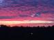 Stunning pink and purple sunset over the treetops at 1770 Benjamin Franklin Dr # 407, Sarasota, FL 34236