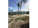 Light teal single-story home with palm trees and a landscaped yard at 211 84Th St, Holmes Beach, FL 34217