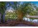 Tranquil backyard with pond view, lush landscaping, and lighting at 4563 Trails Dr, Sarasota, FL 34232