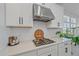 Modern kitchen featuring white cabinets, quartz countertops, and stainless steel range hood at 6347 Grandview Hill Ct, Bradenton, FL 34203