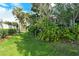 Landscaped yard with lush tropical plants at 6790 Paseo Castille, Sarasota, FL 34238