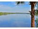 Serene waterfront view with palm trees and calm water at 735 Foggy Morn Ln, Bradenton, FL 34212