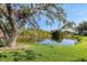 Serene pond with fountain, lush vegetation, and trees at 804 Connemara Cir, Venice, FL 34292