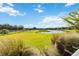 Serene landscape with a pond and lush greenery at 11101 Sandhill Preserve Dr, Sarasota, FL 34238