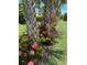 Beautiful landscaping featuring mature palm trees and vibrant flowers along a well-maintained lawn at 11101 Sandhill Preserve Dr, Sarasota, FL 34238