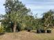 Backyard with some plants in large pots at 15079 Wichita Rd, Port Charlotte, FL 33981