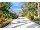 Long driveway leading to a beautiful home with tropical landscaping at 3142 Dick Wilson Dr, Sarasota, FL 34240