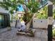 Lush courtyard with a large tree and artistic pots at 3455 Anglin Dr, Sarasota, FL 34242