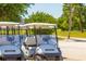 Neatly arranged fleet of golf carts ready for a day on the lush green golf course at 3880 Ironwood Ln # 408E, Bradenton, FL 34209