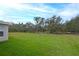 Large backyard with lush green grass and mature trees at 3911 Douglas Hill Pl, Parrish, FL 34219