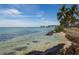 Scenic waterfront view with clear water and palm trees at 419 Partridge Cir, Sarasota, FL 34236