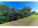 Lush green hedge and lawn provide privacy at 7215 Treymore Ct, Sarasota, FL 34243