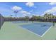 Well-lit pickleball courts for community use at 5341 Greenbrook Dr, Sarasota, FL 34238