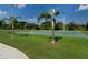 Outdoor basketball court with palm trees and ample green space at 12471 Natureview Cir, Bradenton, FL 34212