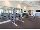 Community gym with weight machines and mirrors at 16125 Tradewind Ter, Lakewood Ranch, FL 34211