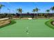 Relaxing putting green surrounded by palm trees at 16125 Tradewind Ter, Lakewood Ranch, FL 34211