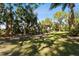 Serene backyard with lush tropical landscape and grassy area at 1854 Amberwynd W Cir, Palmetto, FL 34221