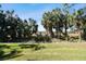 Spacious grassy backyard with a natural, tropical landscape at 1854 Amberwynd W Cir, Palmetto, FL 34221