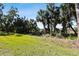 Open grassy backyard area with lush tropical vegetation at 1854 Amberwynd W Cir, Palmetto, FL 34221