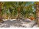 Relaxing shaded hammock area under palm trees at 238 Oak Ave, Anna Maria, FL 34216