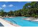 Resort-style pool with lounge chairs and palm trees at 401 N Point Rd # 401, Osprey, FL 34229