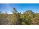 Panoramic view of lush greenery and trees from the balcony at 401 N Point Rd # 401, Osprey, FL 34229