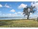 Scenic waterfront view with lush green grass and a tree at 4511 7Th Street E Ct, Ellenton, FL 34222