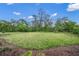 Large grassy backyard with mature trees and landscaping at 5892 Semolino St, Nokomis, FL 34275