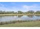 Serene pond view with lush green landscape at 6334 Grand Oak Cir # 201, Bradenton, FL 34203