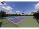 Outdoor pickleball courts with green fencing at 6868 Wild Lake Ter, Bradenton, FL 34212