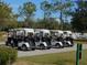 Neatly arranged row of golf carts parked in a designated area, ready for a day on the course at 7619 Teal Trace, Bradenton, FL 34203